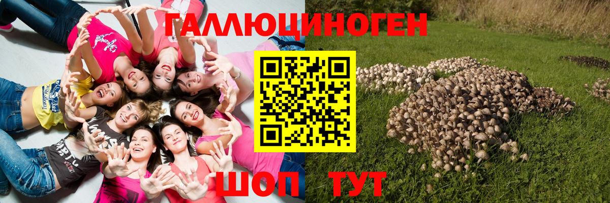 Галлюциногенные грибы прущие грибы Знаменск